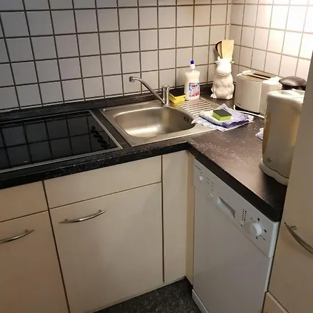 55 Im Seepark 公寓 *